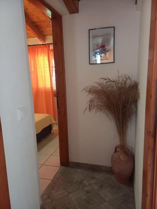Apartamento Δίχωρο Στούντιο Στον Κέντρο Του Αρμενιστή Armenistis  Exterior foto